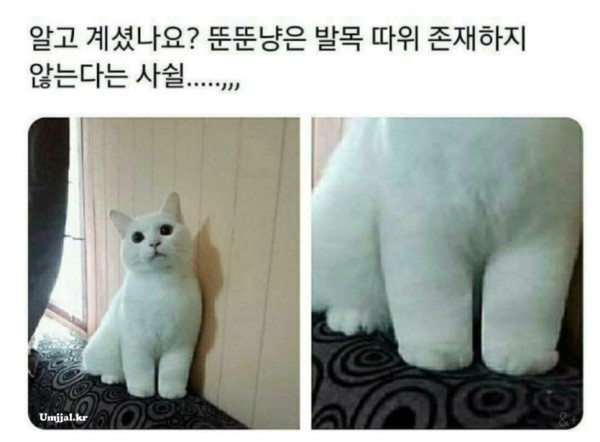 알고 계셨나요?