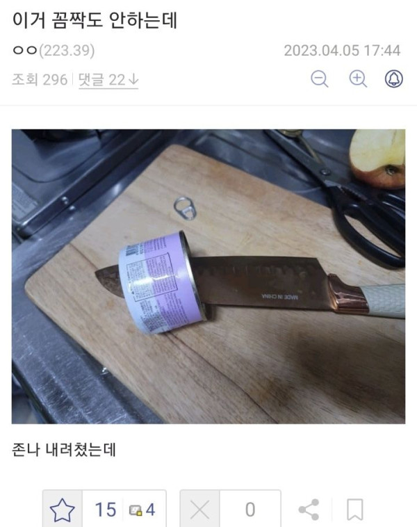 고양이에게 밥을 주려고 했는데