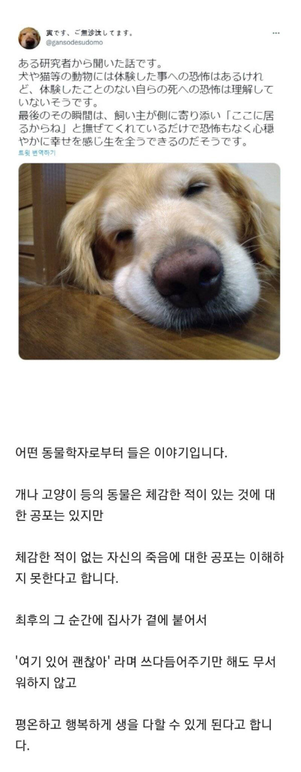 동물은 죽음의 공포를 이해하지 못한다?